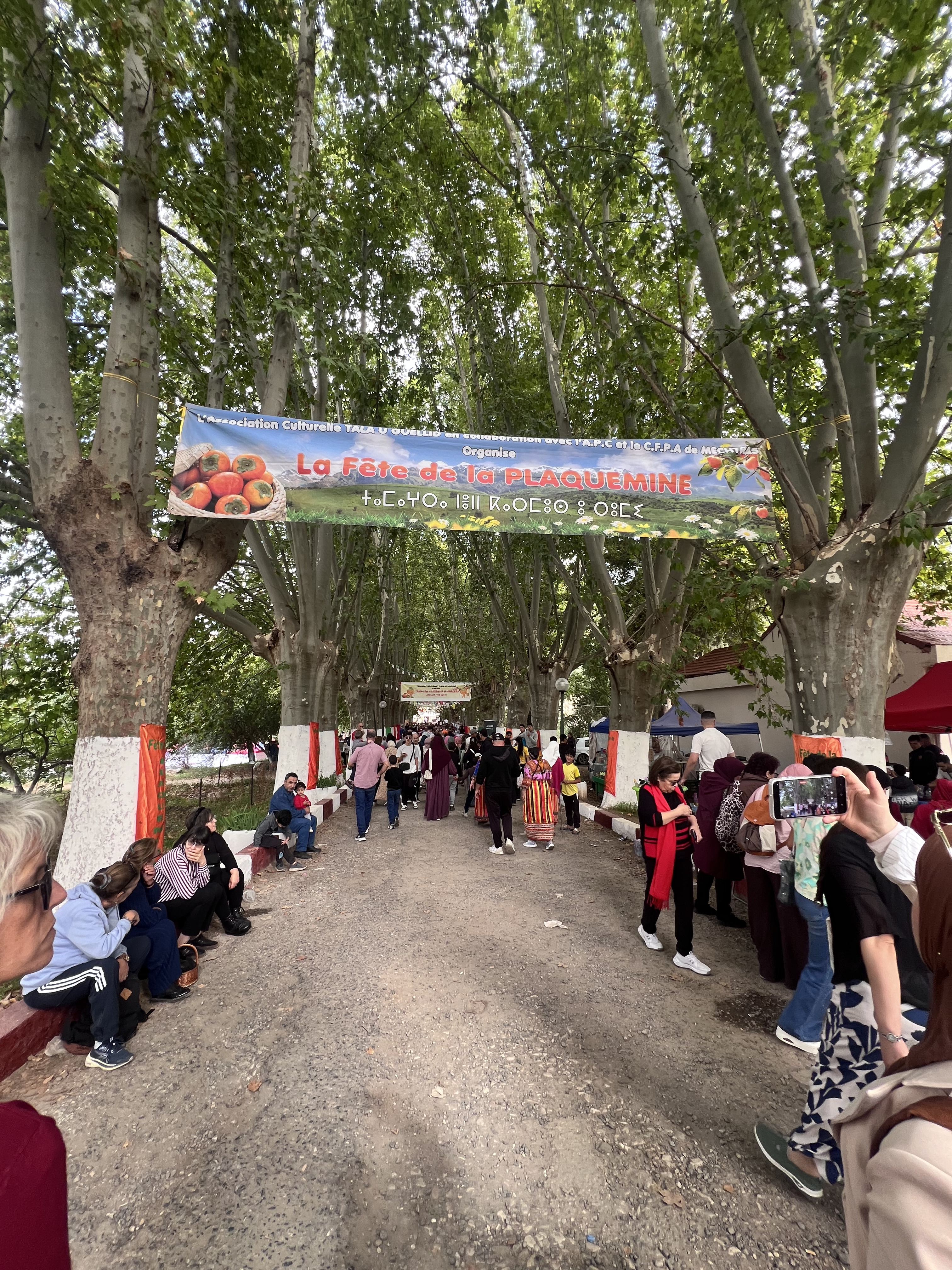 festival de la plaquemine