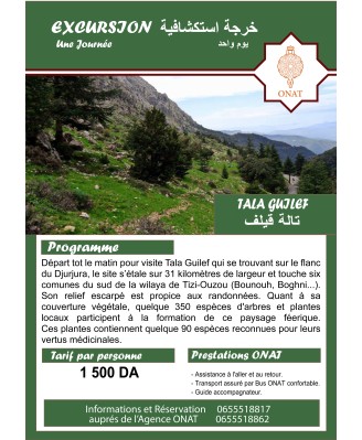 tala guilef  one day