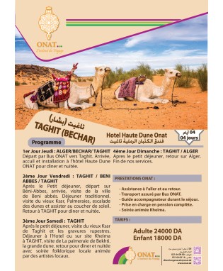 Taghit (bechar) hotel haute dune onat 