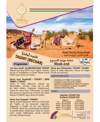 TAGHIT (BECHAR) high dune Residence 